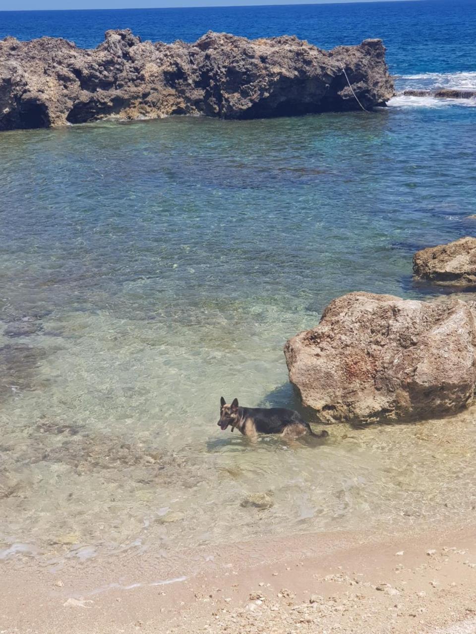 Forever Cottage Robins Bay Luaran gambar